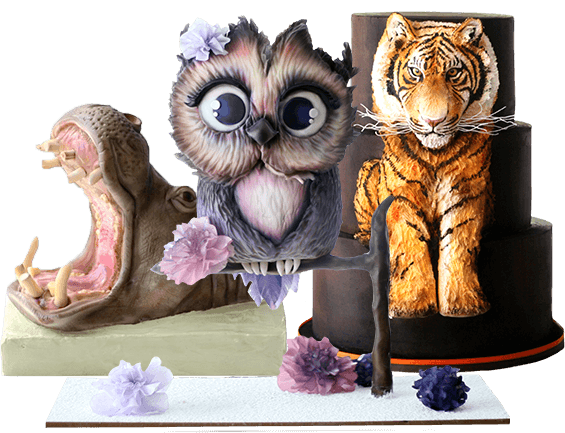 Featured hippo, owl, and tiger cakes