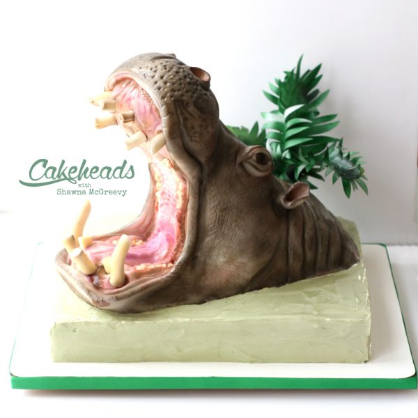 hippo cake square