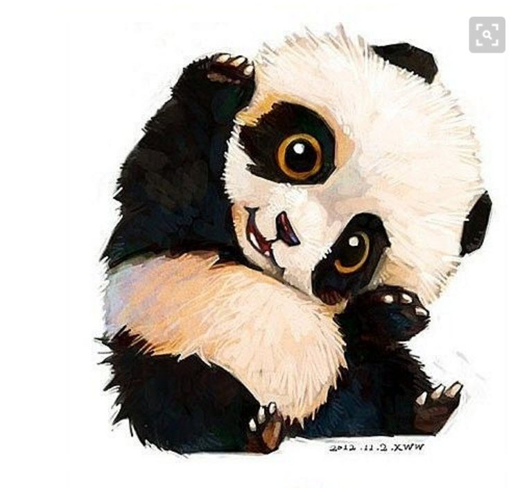 panda inpspiration photo