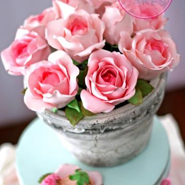 Pink Roses in a Pot