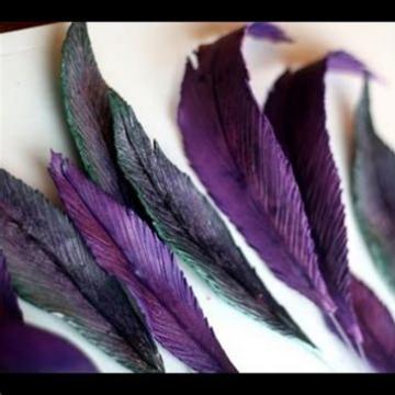 gumpaste feathers sm sq